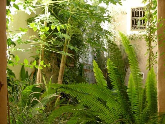 Dar Zahia 호텔 타라우단트 외부 사진